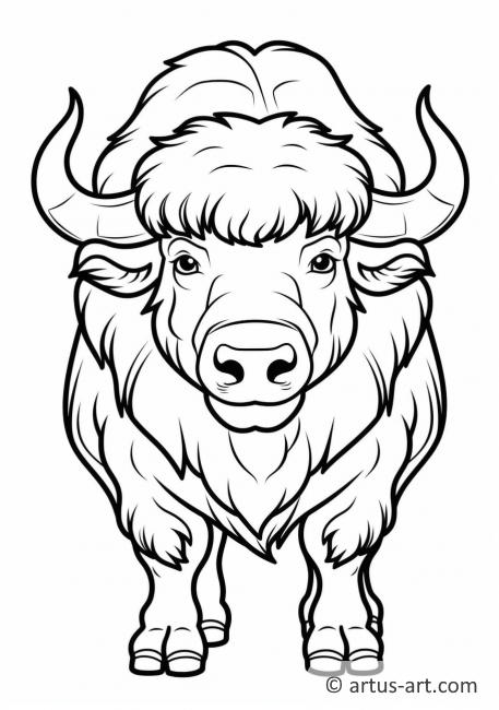 European Bison Coloring Page